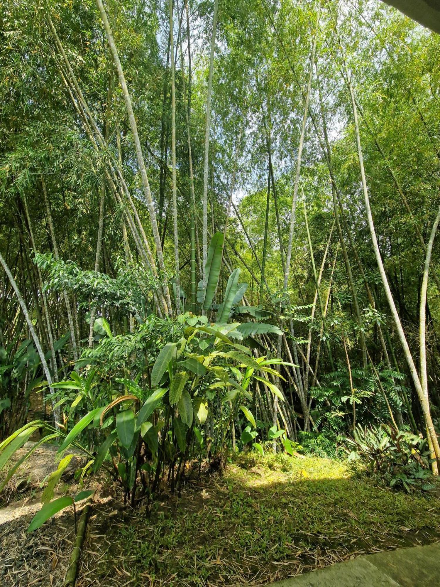 Bhutan Filandia Pension Buitenkant foto